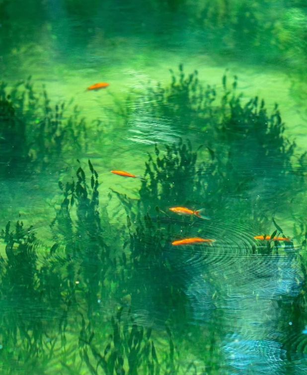 、身体炸划算还有节日限定香薰、香包pg电子中国香香好物丨欧珑正装香水(图1)