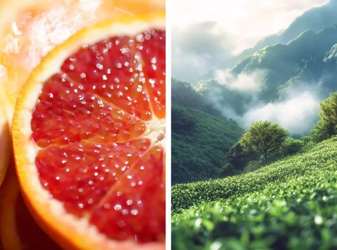 、身体炸划算还有节日限定香薰、香包pg电子中国香香好物丨欧珑正装香水(图17)